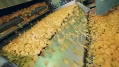 薯片的机械运输.. 薯片生产线。